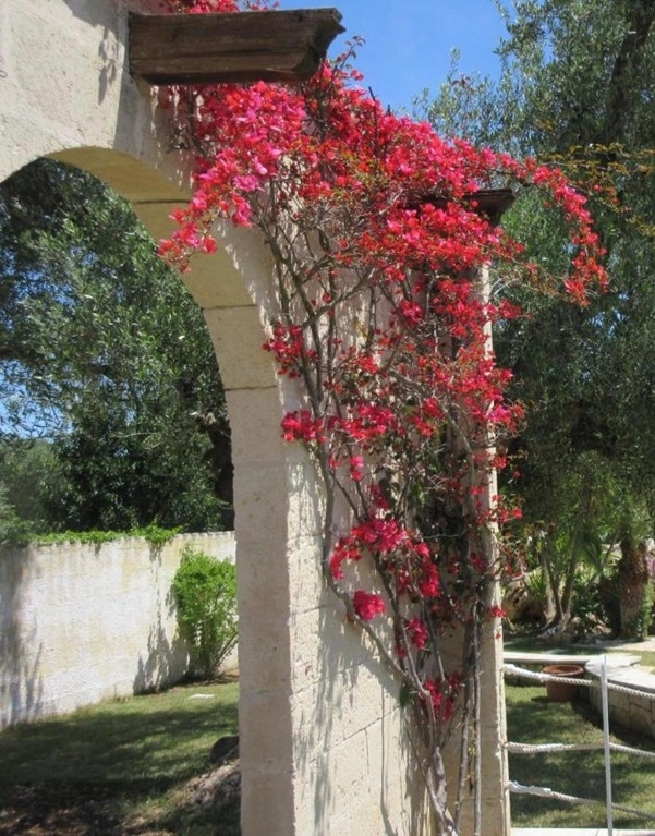 Tenuta Placella