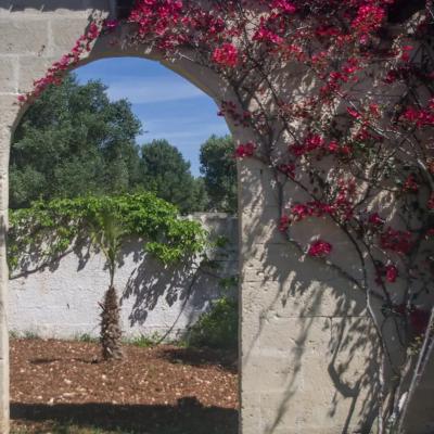 Tenuta Placella Villa Con Piscina Serranova In Affitto