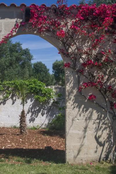 Tenuta Placella Villa Con Piscina Serranova In Affitto